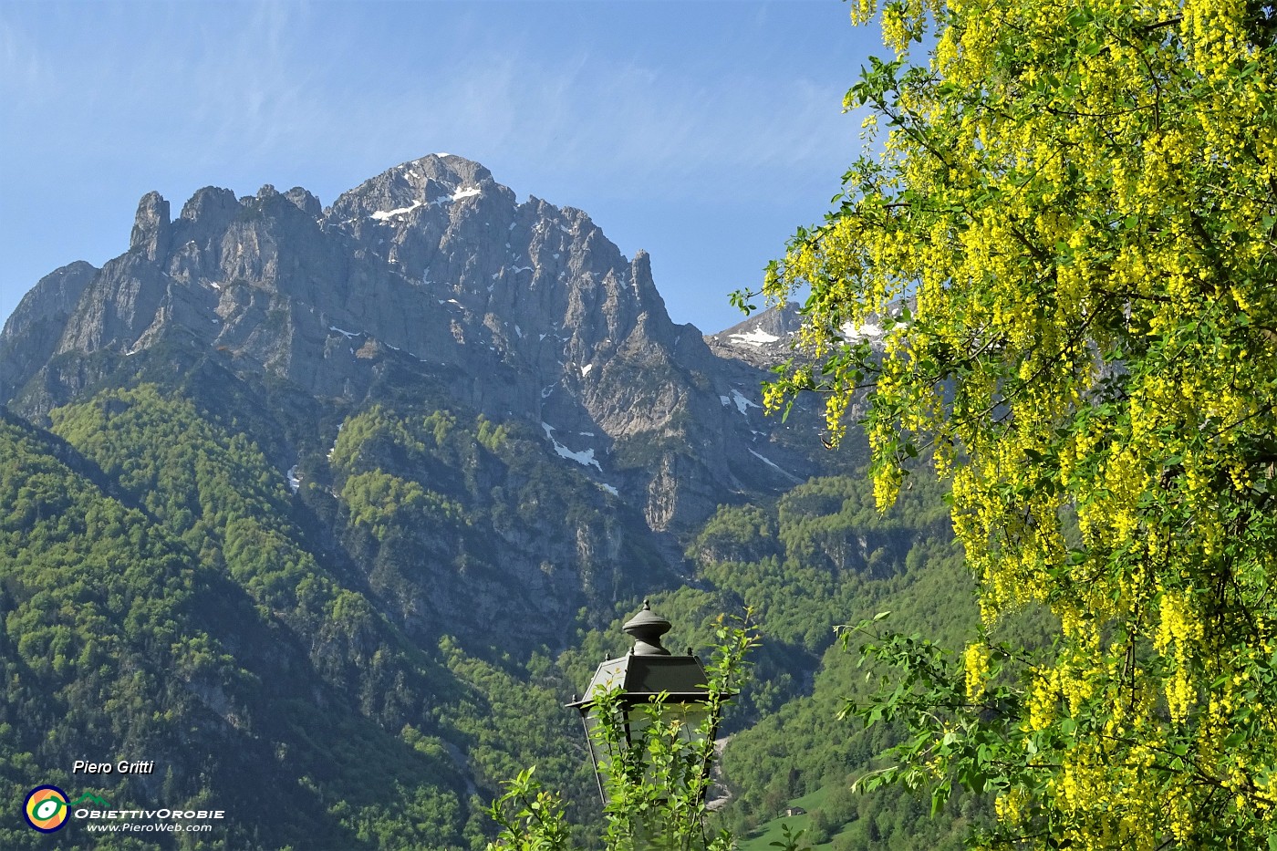 14 Maggiociondolo con vista in Cornetta.JPG